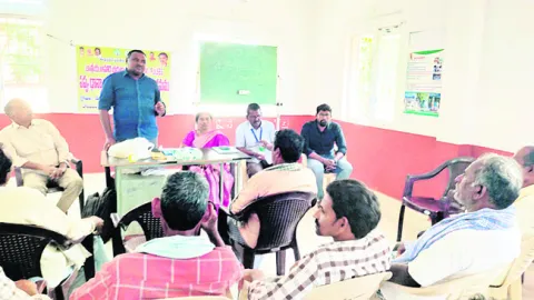 కొత్త రకం విత్తనాలతో అధిక దిగుబడులు 