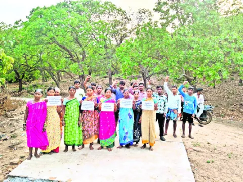 జీడి పంటకు మద్దతు ధర ప్రకటించాలి 