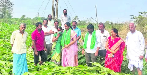 పరామర్శలే ప్రాప్తం!