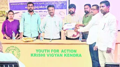 మెళకువలు పాటిస్తే అధిక లాభాలు 