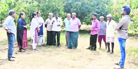 యాజమాన్య పద్ధతులతో మామిడిలో అధిక దిగుబడులు 