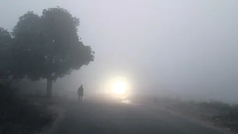 ●శ్వేతవర్ణపు అద్భుతం 