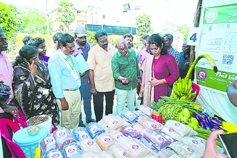 ప్రకృతి సాగుకు ఉత్సాహాన్నిచ్చారు 