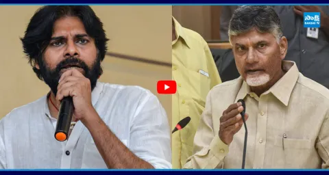 Janasena Leaders Doubts On Pawan Kalyan 3