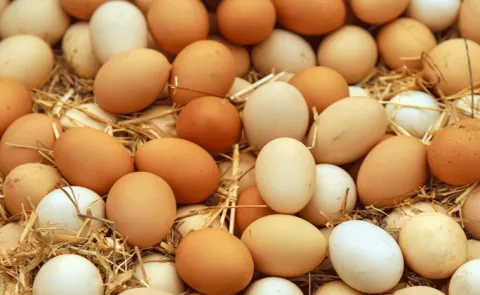 Saudi Arabia bans poultry and egg imports from 40 countries