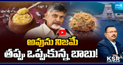 Chandrababu Accepts Mistake In TTD Laddu Prasadam Controversy Episode 1
