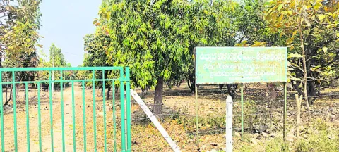 ఉద్యాన కేంద్రాలకు జీవం