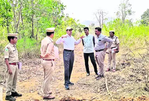 నగరవనం సందర్శించిన సీసీఎఫ్‌ 