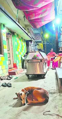 విశ్వాసం చూపిన శునకం 