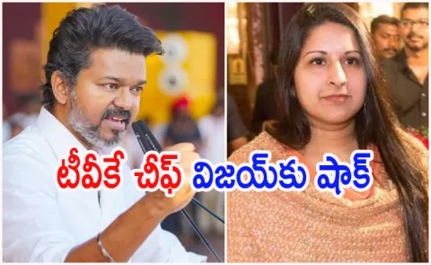 TVK chief and actor Vijay wife files for divorce,accuses him of infidelity