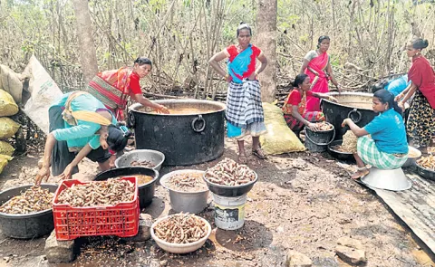 Organic turmeric exported from India to Arab countries