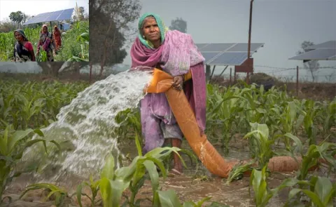 Empowering women farmers with solar-powered solutions 