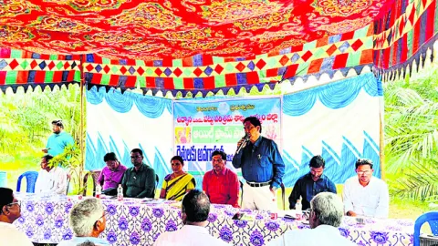 ఆయిల్‌పామ్‌ పంట లాభదాయకం