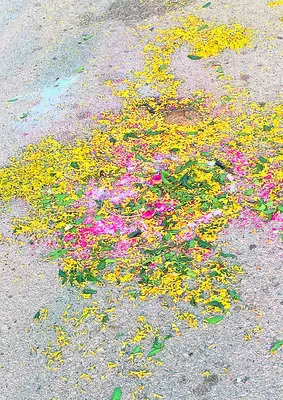 ఆస్తి కోసం ఘర్షణ   