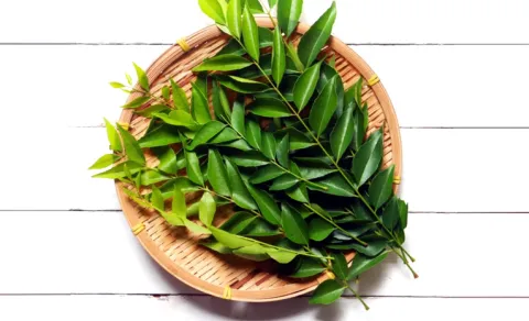  Another Shock to Common People Curry Leaves Prices Surge Sharply