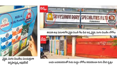 TDP MLA Dhulipalla Narendra Sangam Dairy gets controversial contracts