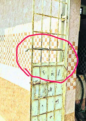 పాఠశాలలో పాము కలకలం 