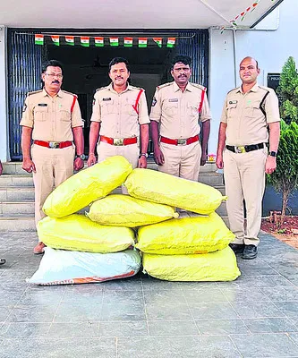 81.90 కేజీల గంజాయి స్వాధీనం