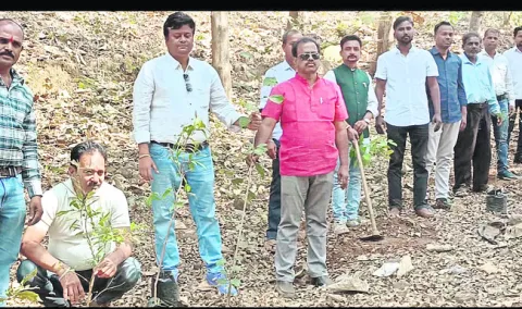 ప్రతి ఒక్కరూ మొక్కలు నాటాలి 