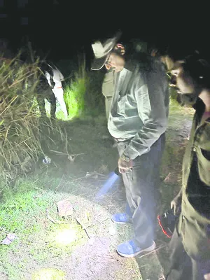 పెద్దపులి జాడ కోసం  అన్వేషణ 