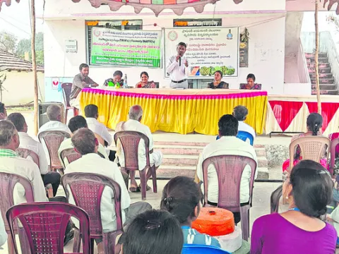 ప్రత్యామ్నాయ పంటలతోనే అధిక లాభాలు