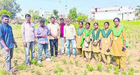 పొలం బాట.. అన్నదాతకు బాసట