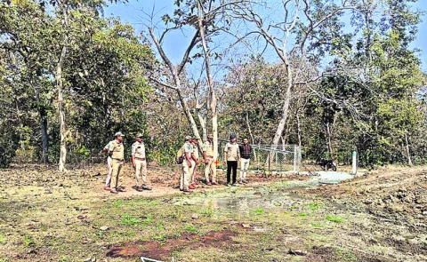 అడవుల రక్షణలో నిర్లక్ష్యం చూపొద్దు