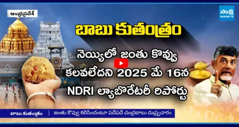 CBI Sheet & Lab Report Bust Chandrababu False Propaganda on TTD Laddu 1