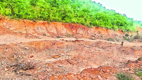 కాసుల కుప్పలు..!