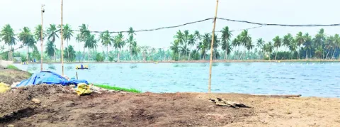 దేవుని భూమికే శఠగోపం 