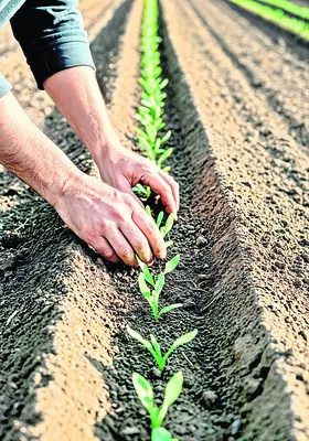 ప్రకృతి సాగుకు ప్రోత్సాహం