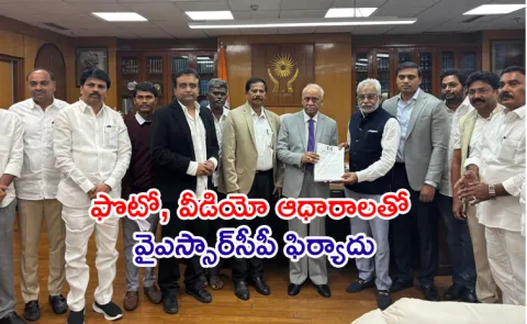 AP Turned Into Jungle Raj: YSRCP Met NHRC Over Salman Incident