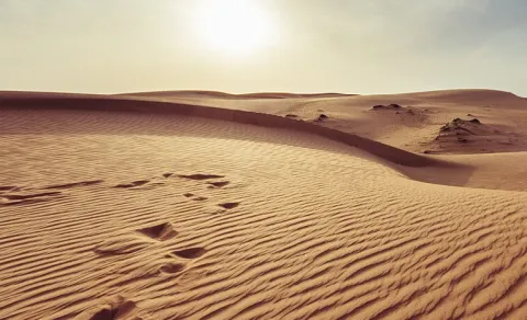 A young child went missing in the desert in Oman14