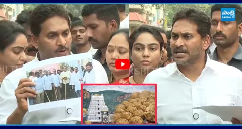 YS Jagan Straight Question To Chandrababu Over Laddu Flexi Issue  1