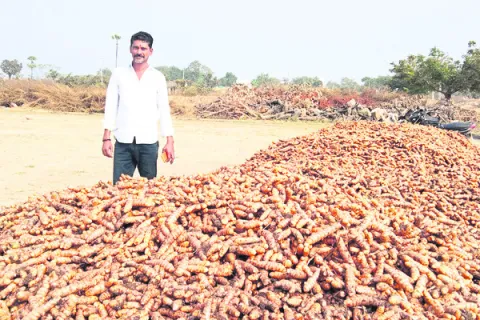 దిమ్మ తిరిగే దిగుబడి! 