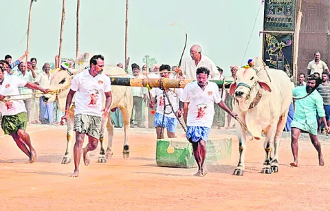 హోరాహోరీగా ఎడ్ల బండలాగుడు పోటీలు