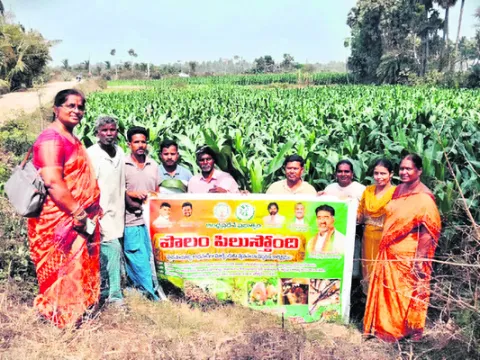 రెయిన్‌ గన్‌తో సాగునీరు ఆదా