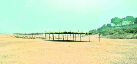 శివరాత్రికి చురుగ్గా ఏర్పాట్లు 