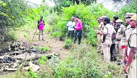 కోరలు చాచిన ముఠా!