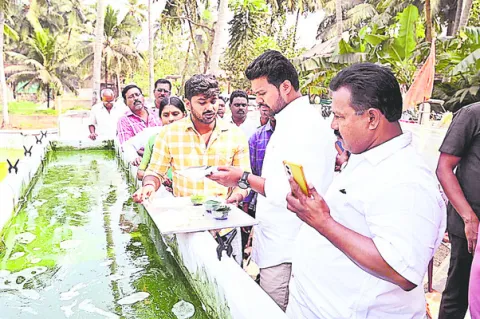 స్పైరులీనాలో పోషకాలు మెండు