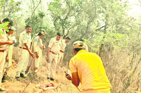 జింక కళేబరం లభ్యం