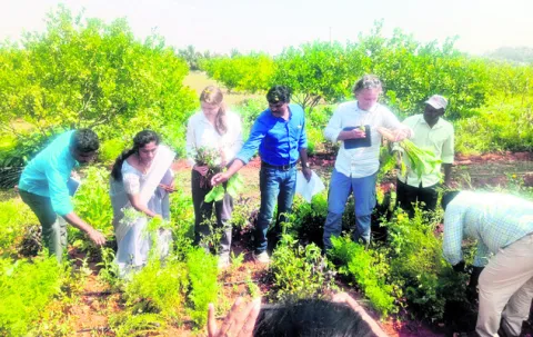 ప్రకృతి వ్యవసాయం అద్భుతం 