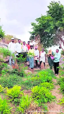 ప్రతి పేజీ మోసమే!