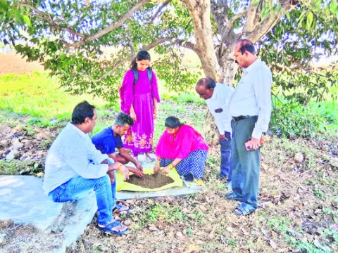 భూసార పరీక్షల ఆధారంగా ఎరువులు వాడాలి 
