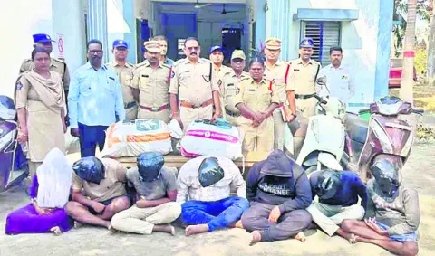 గంజాయి తరలిస్తున్న ఏడుగురు అరెస్టు 