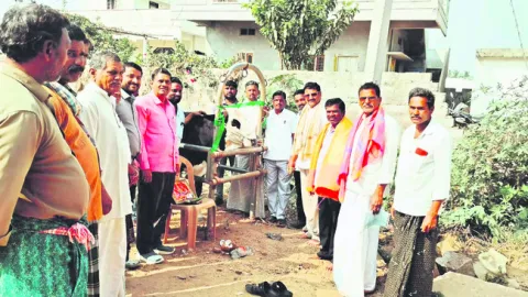 మేలురకం గ్రాసంతో పాల ఉత్పత్తుల పెంపు 