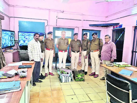 100 రామచిలుకలు పట్టివేత 