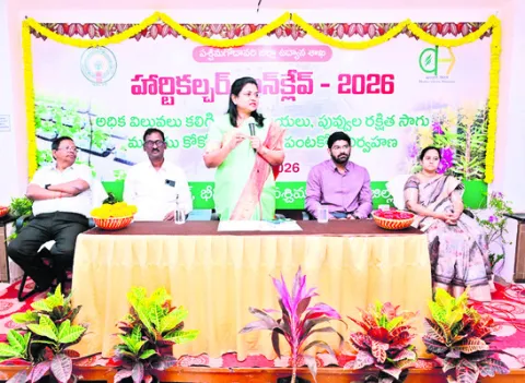 ఉద్యాన పంటలపై దృష్టి సారించాలి 