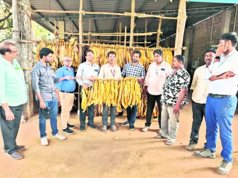 శాస్త్రవేత్తల సూచనలు పాటించాలి 