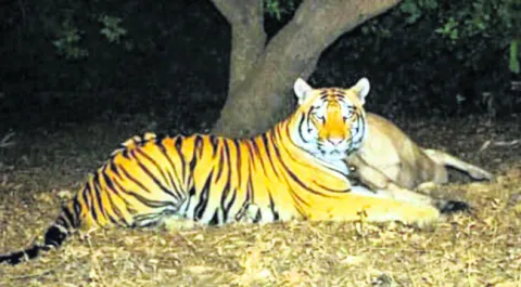 తెలంగాణలో మొదలై.. ‘తూర్పు’లో ముగిసి.. 